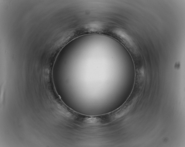 X0000091070269200708061307