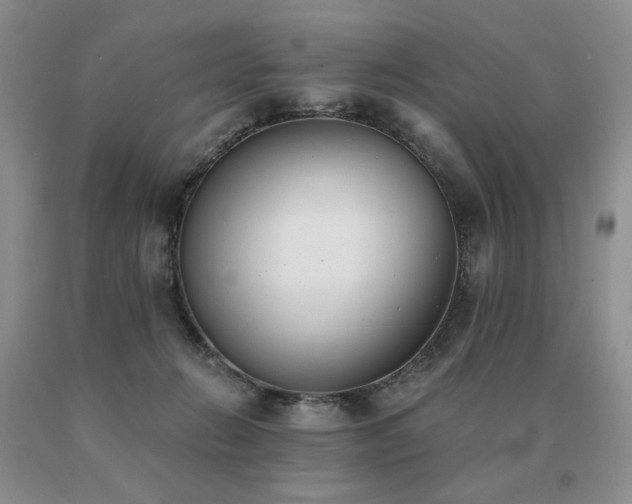 X0000091070270200708061307