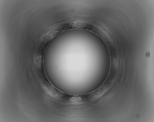 X0000091070271200708061307