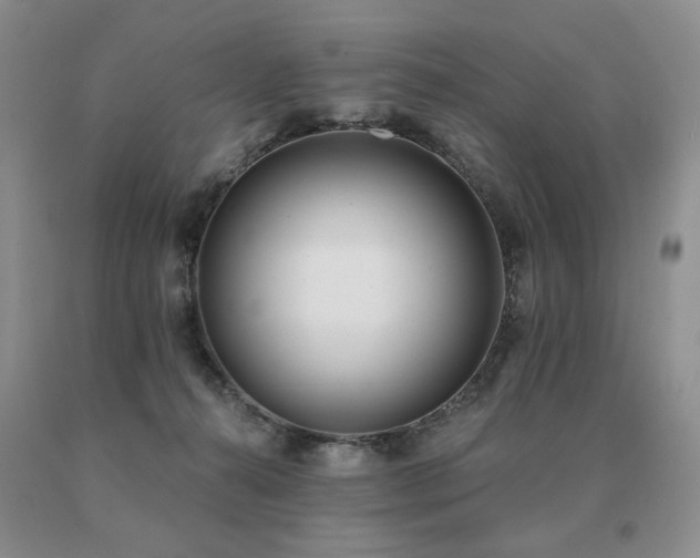 X0000091070272200708061307