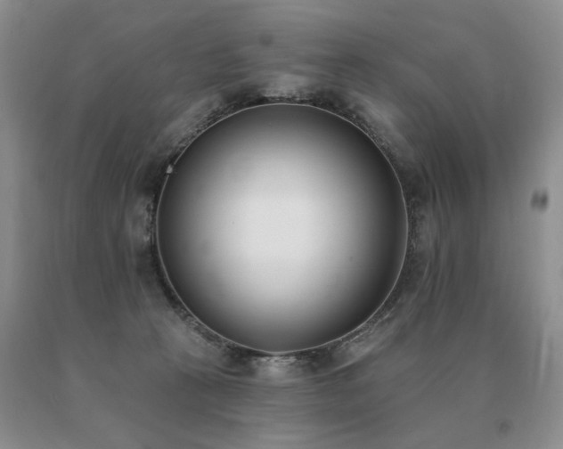X0000091070273200708061307