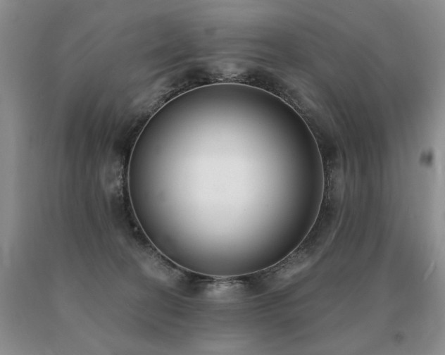 X0000091070274200708061307