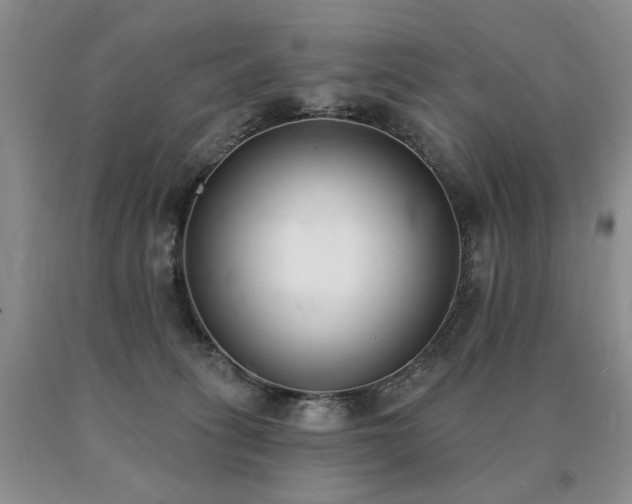 X0000091070275200708061308