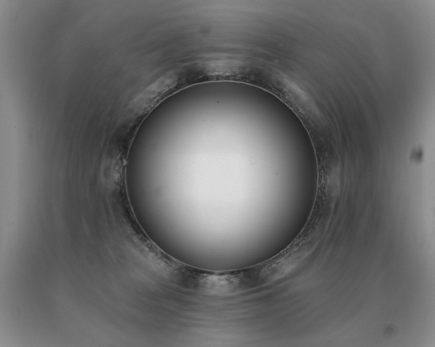 X0000091070277200708061308