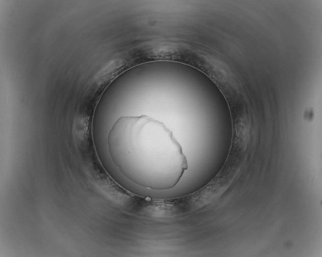 X0000091070278200708061308