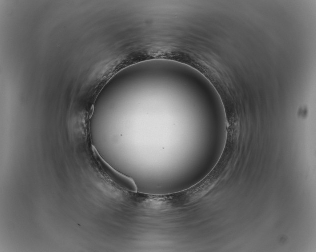X0000091070280200708061308