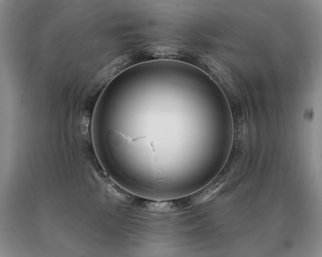 X0000091070281200708061308