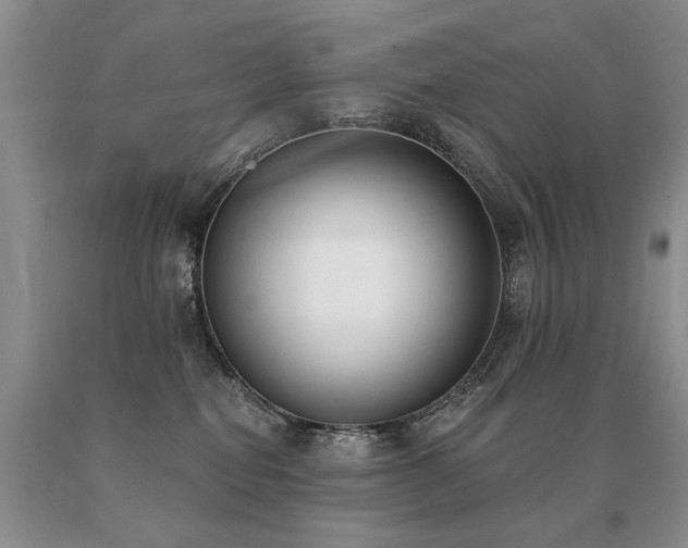 X0000091070282200708061308