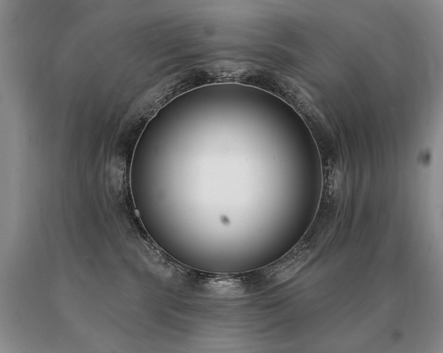 X0000091070283200708061308