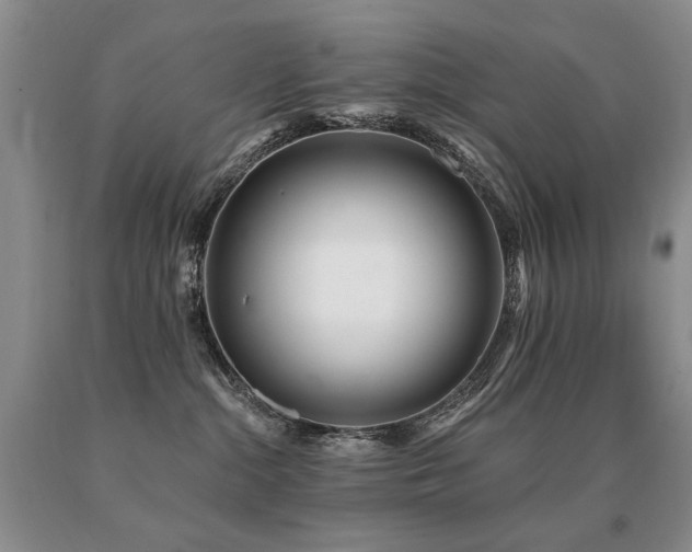 X0000091070284200708061308