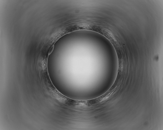 X0000091070285200708061308
