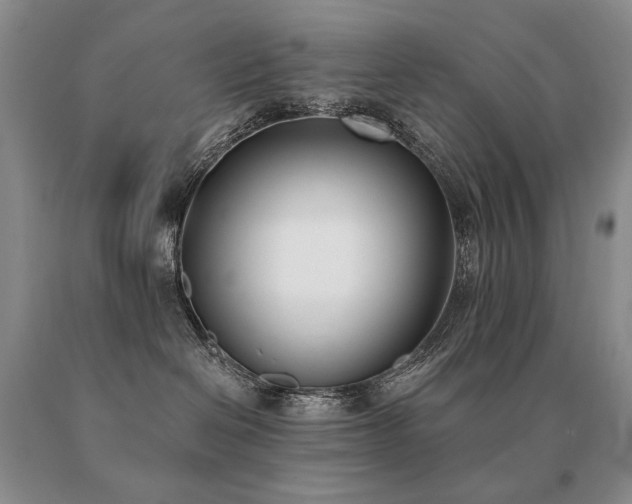 X0000091070286200708061308