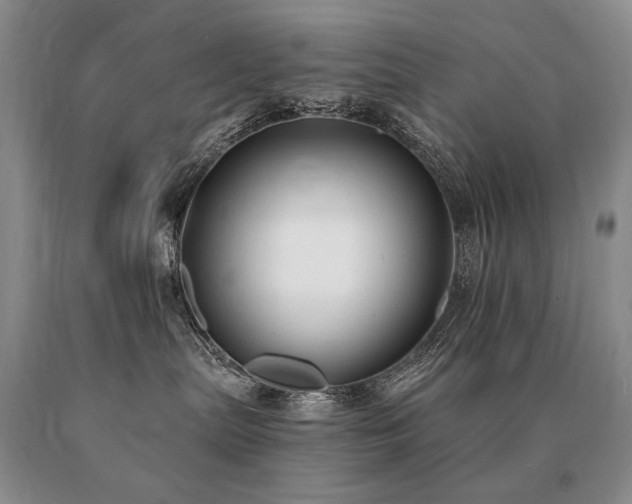 X0000091070287200708061308