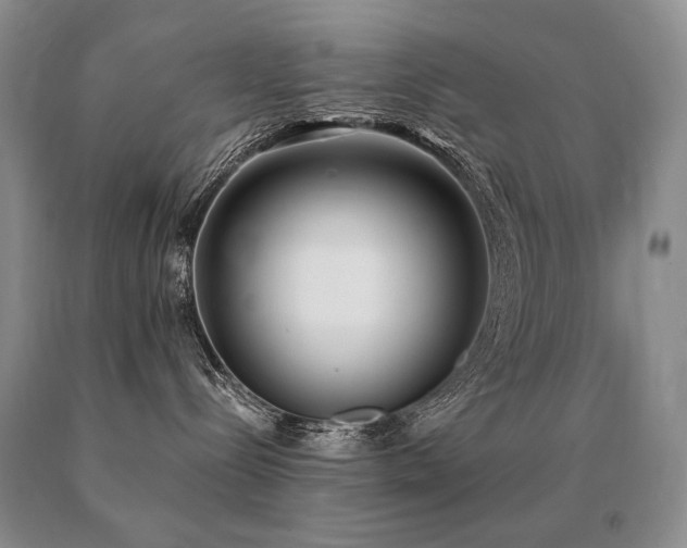 X0000091070288200708061308