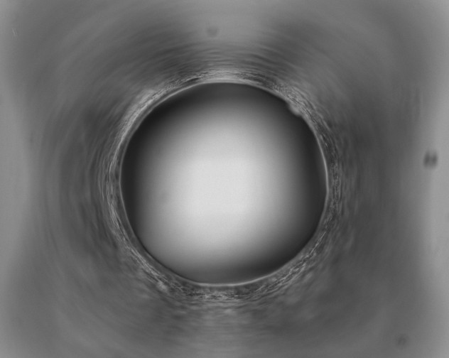 X0000091070289200708061307