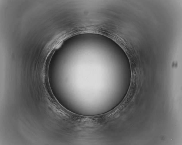 X0000091070290200708061307