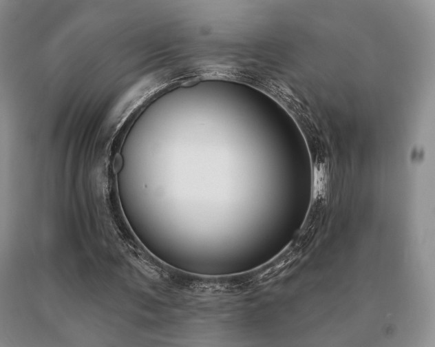 X0000091070291200708061307