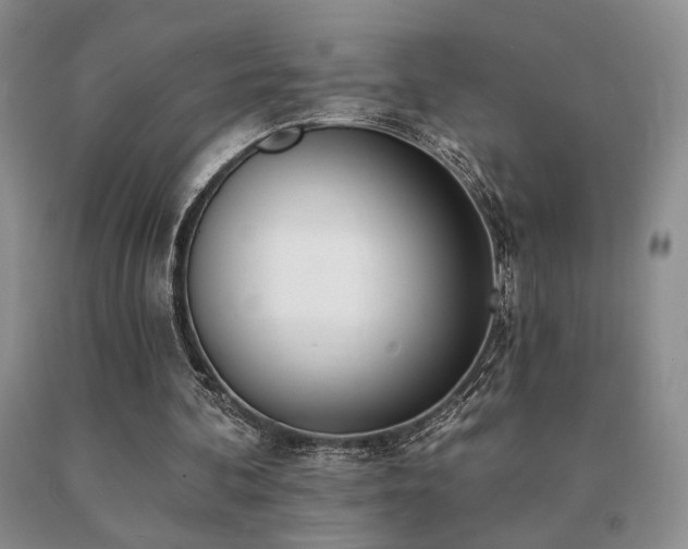X0000091070292200708061307