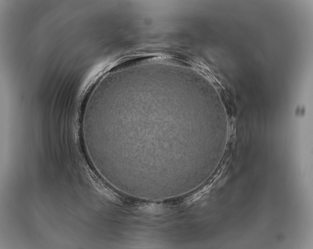 X0000091070293200708061307