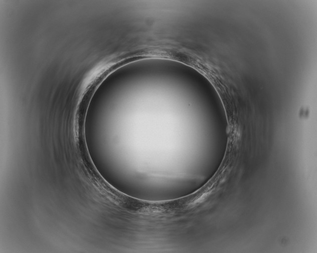 X0000091070294200708061307