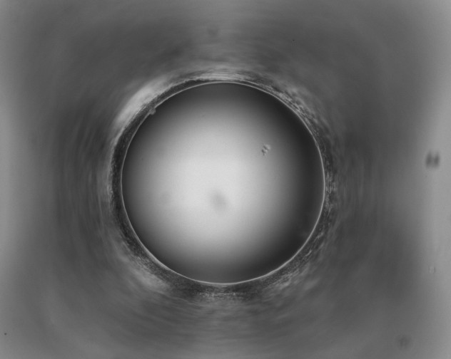 X0000091070296200708061307