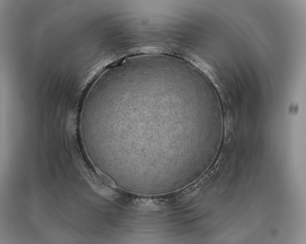 X0000091070297200708061307