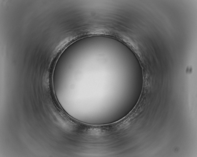 X0000091070298200708061307
