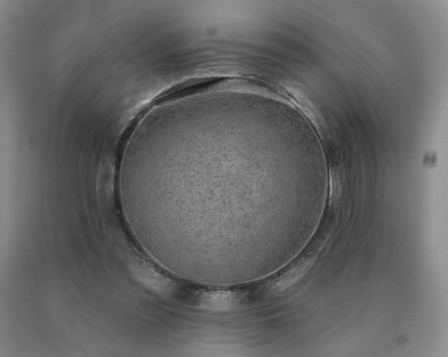 X0000091070301200708061307