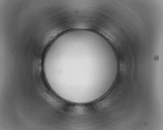X0000091070302200708061307