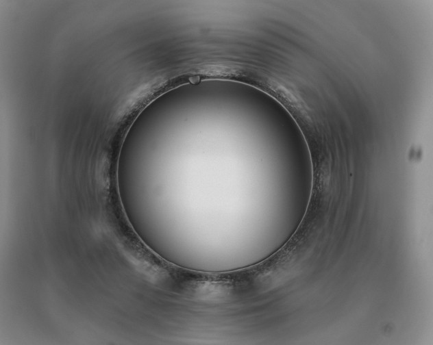 X0000091070303200708061307