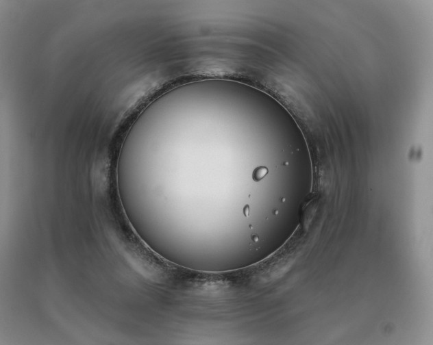 X0000091070304200708061307
