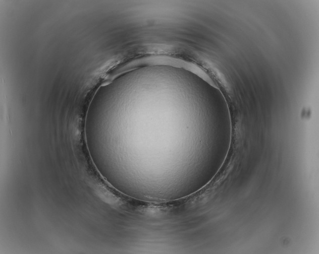 X0000091070305200708061307