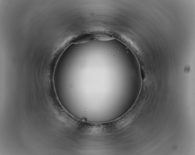 X0000091070306200708061307