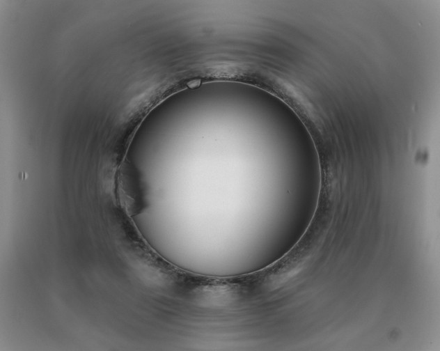 X0000091070307200708061307