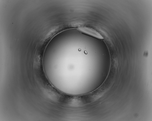 X0000091070308200708061307