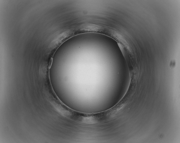 X0000091070309200708061307