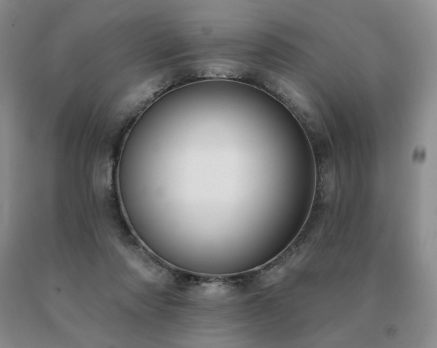 X0000091070310200708061307