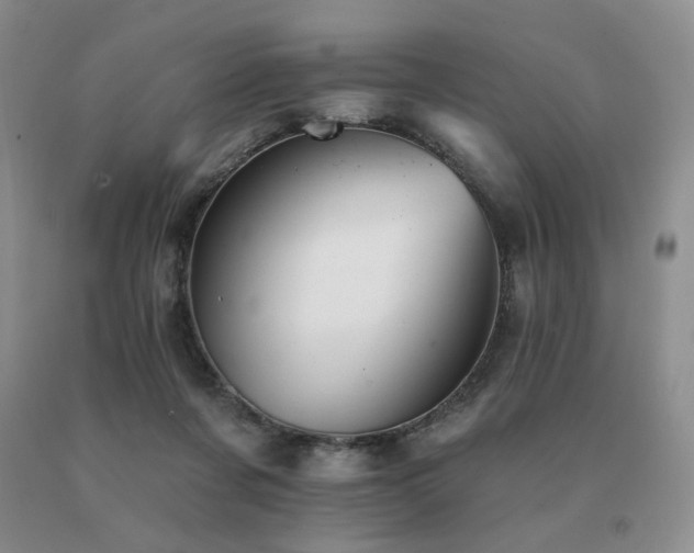 X0000091070311200708061307