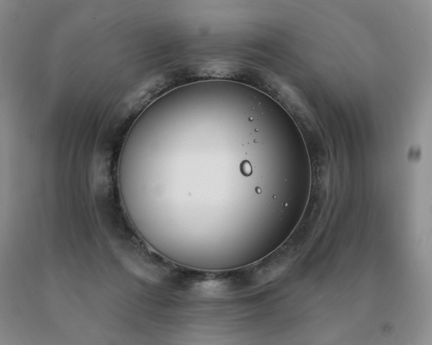X0000091070312200708061307