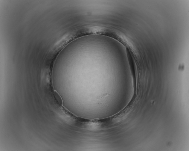 X0000091070313200708061307