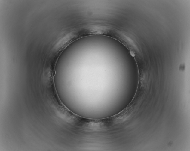 X0000091070314200708061307