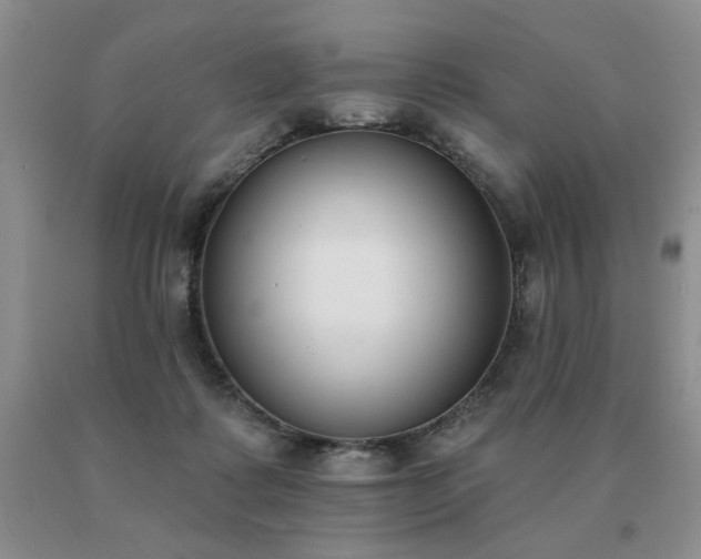 X0000091070315200708061307