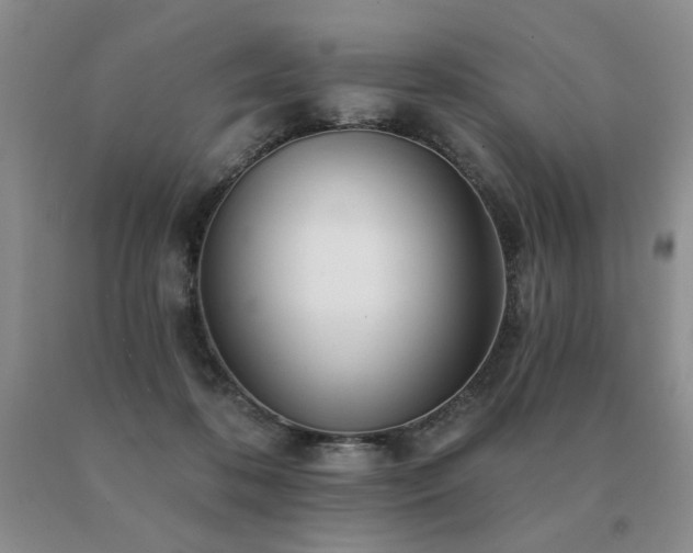 X0000091070316200708061307