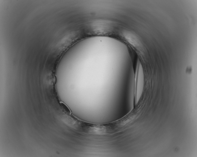 X0000091070317200708061307