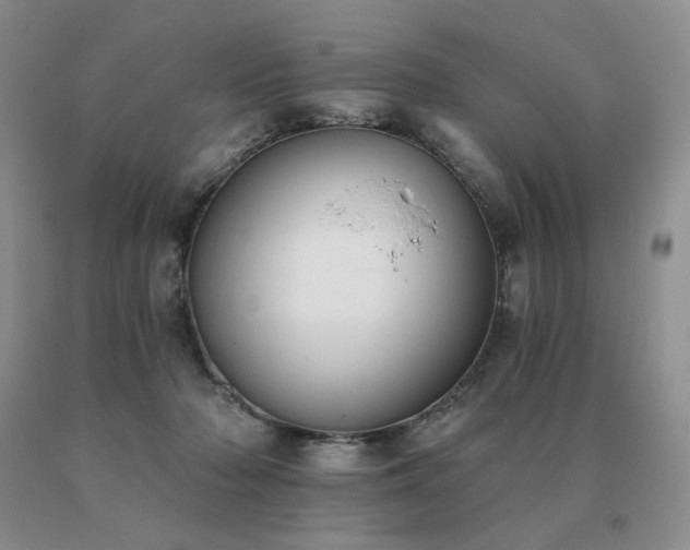 X0000091070318200708061307