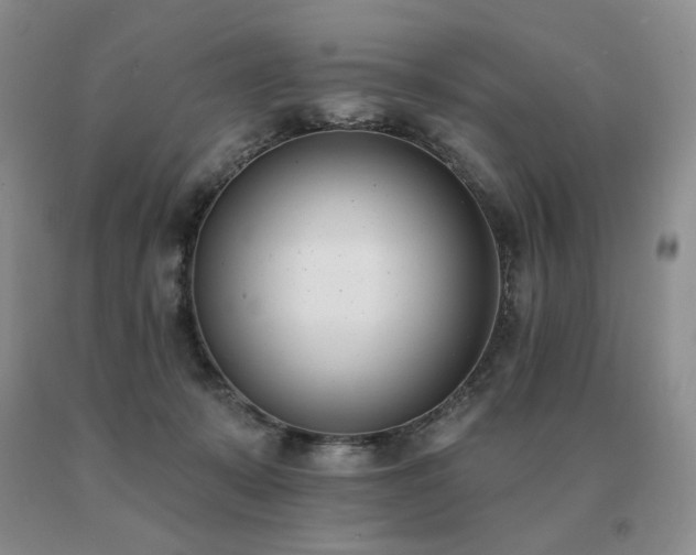 X0000091070319200708061307