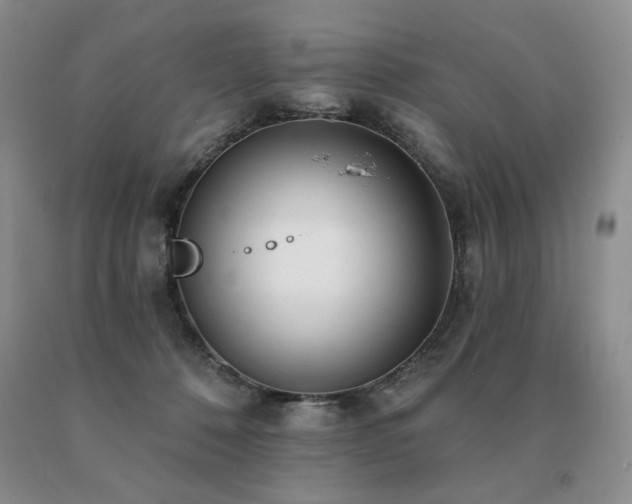 X0000091070320200708061307