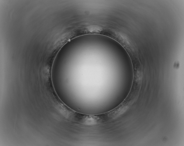 X0000091070321200708061307