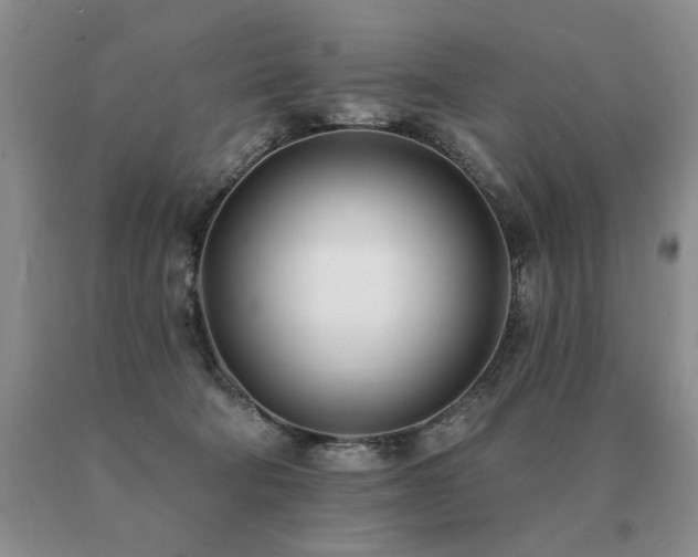 X0000091070322200708061307