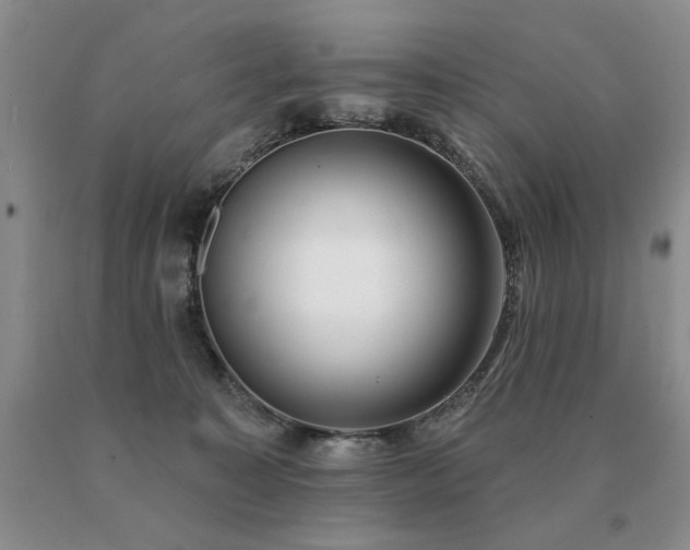 X0000091070323200708061307